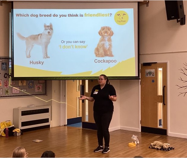 dogtrust2.jpg