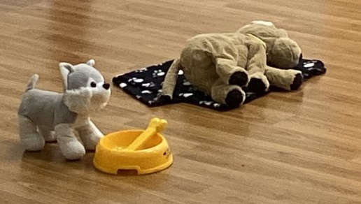dogtrust4.jpg